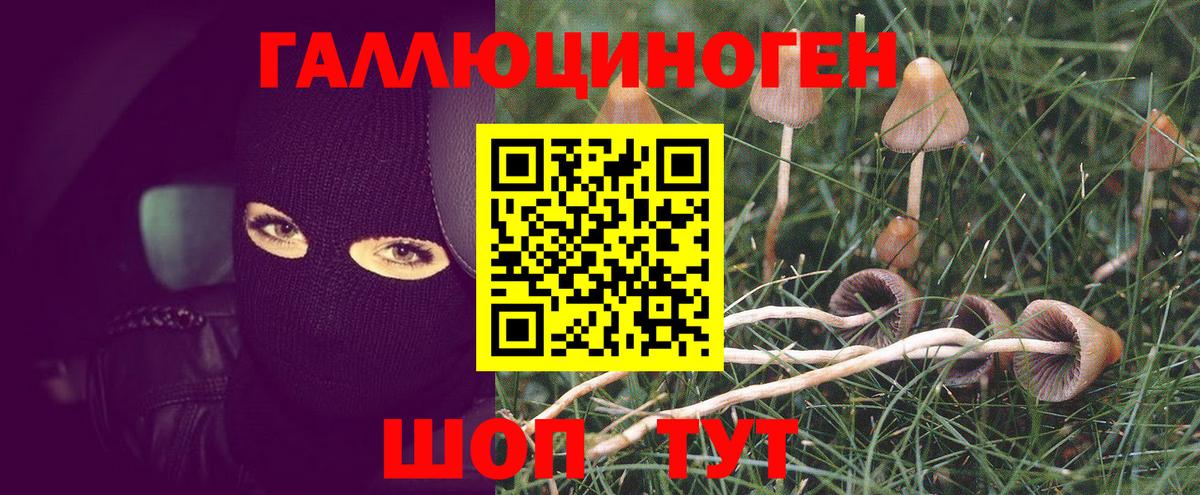 Галлюциногенные грибы GOLDEN TEACHER Дивногорск
