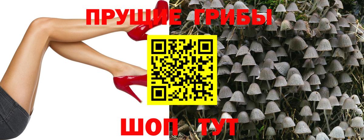 Галлюциногенные грибы ЛСД  Галлюциногенные грибы Magic Shrooms  Вход с VPN  Дивногорск 